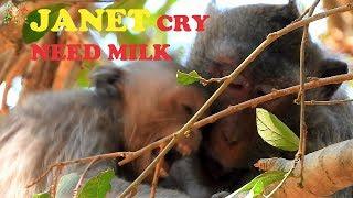 JANET CRY NEED MILK , JANE BITE WEANING HER DAUGHTER JANET COS HER NOW DAY SO BIG |