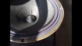 How To Replace a Damaged Surround on Guitar Speaker