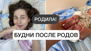 РОДИЛА | будни в роддоме