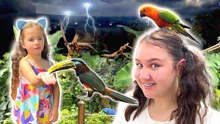 Ruby and Bonnie learn about the Tropical Rainforest