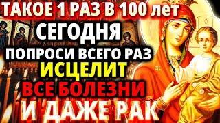 23 ноября ИСЦЕЛЯЕТ ВСЕ! Молитва Богородице Скоропослушница Акафист Скоропослушнице Православие