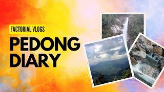 Pedong Diary