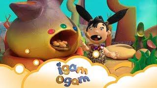 Igam Ogam: Don't touch S2 E17 | WikoKiko Kids TV