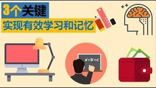 如何讓學習更高效，讓記憶更牢固：3個關鍵實現有效學習和記憶