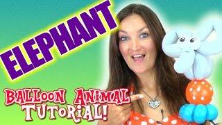 ELEPHANT ON BALL CIRCUS Balloon Animal Tutorial - Learn Balloon Animals with Holly!