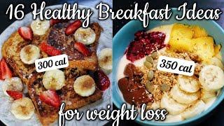 16 days of Healthy Low Calorie +weight loss friendly breakfast Ideas for 2024 | fast & easy recipes