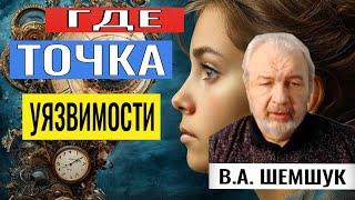 ГДЕ ТОЧКА УЯЗВИМОСТИ ЧЕЛОВЕКА. Владимир Шемшук. #познавательное #тонкиймир