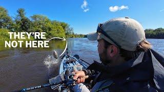 Mississippi River Smallmouth Are Feeding HERE!