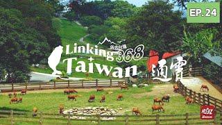 【苗栗通霄】EP24 完整版｜Linking368Taiwan