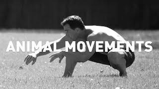 Using Animal Movements for Fitness - Mobility, Strength, and Control from Locomotion Exercises