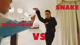 WING CHUN MASTER VS SNAKE KUNG FU  / TAN SHOU BLOCK SNAKE STRIKE / 咏春对蛇拳