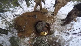 hunting badgers and racoon dogs in finland