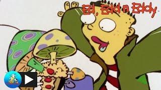 Ed Edd n Eddy | Lawnmower Men | Cartoon Network