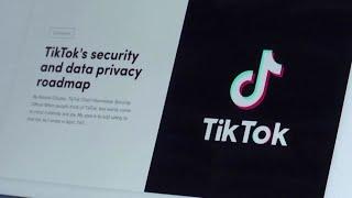 TikTok could become a standalone company under Oracle deal