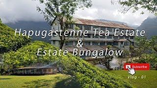 Hapugastenne Estate | Old Tea Factory & Estate Bungalow | Vlog - 01