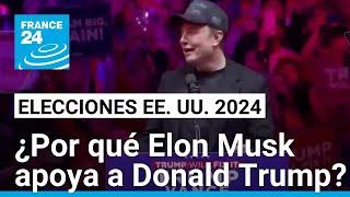 EE. UU.: las posibles motivaciones de Elon Musk al apoyar activamente la campaña de Trump