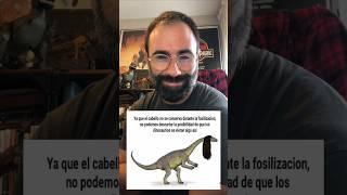 DINOSAURIO CON PELO O NO