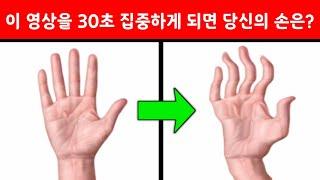 "착시"  30초만 집중해보세요. 당신의 손은 과연? ㅣ 착시현상모음#23 웃음킹 엔트킹