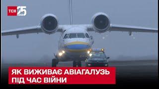  Українські літаки не літають: як виживає авіагалузь під час війни