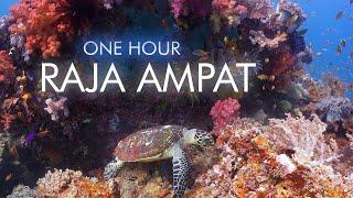 Raja Ampat - Misool | One Hour Relaxing Underwater Cinematic, Chillout, Meditation, Sleeping [4K]