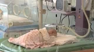 В Заполярье улучшились демографические показатели