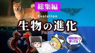 【睡眠用・ゆっくり解説】生物の進化３　　収斂進化/馬/クジラなど【広告最初のみ　途中広告なし】