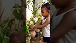 meri choti si bagiya ki nahi #cute #shorts #viral #cute videos #shortsvideo