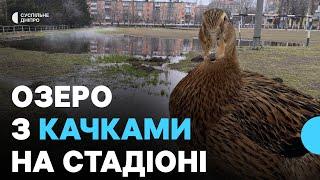 Тепле озеро з качками утворилось на шкільному стадіоні у Кривому Розі