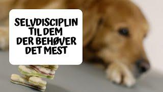Selvdisciplin for dem der behøver det mest