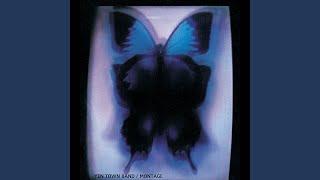 Swallowtail Butterfly -Aino Uta- (Remastered 2015)