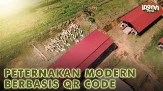 Peternakan Modern Berbasis QR Code - Sukses Ternak Domba dengan Pola Smart Farming!