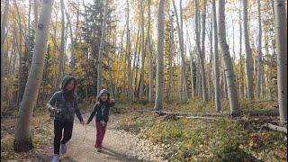 Kenosha Pass - Leaf Peep 2023