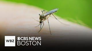 New EEE and West Nile Virus cases confirmed in Middlesex County in Massachusetts