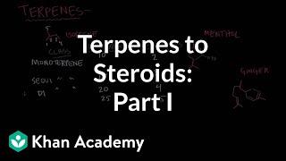 From terpenes to steroids part 1: Terpenes | Endocrine system physiology | NCLEX-RN | Khan Academy