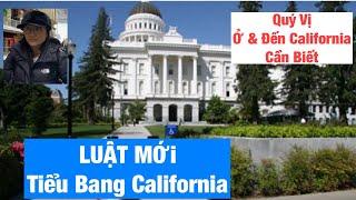 1016|Qúy Vị Ở và Đến California Cần Biết Tránh Rắc Rối|Luật Mới Tại Tiểu Bang California 2025