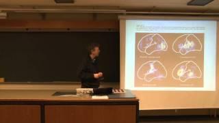 Neurobiology 10. Lec. - Looking Into Different Language Areas [4/6]