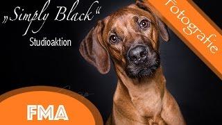 FMA - Fotostudioaktion "Simply Black" / La Vida Colorista - Tierfotografie  / Making of