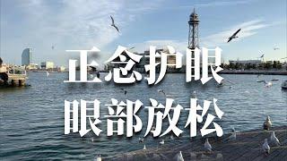 【冥想练习】【正念护眼】【眼部放松】-学习劳累、工作疲劳｜Chinese Guided Meditation