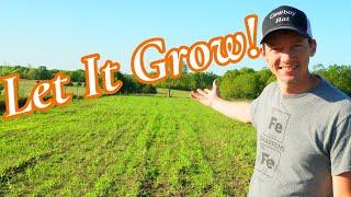 Let It Grow - Springtime Projects Are Getting Ahead Of Us