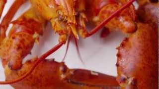 Fresh Hard-Shell Atlantic Lobster | Sobeys