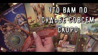 Что  вам по Судьбе  в Ближайшее время  Таро знаки судьбы прогноз #tarot#gadanie