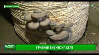 Грибной бизнес на селе