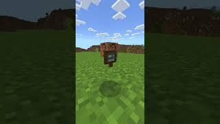 Das SELTSAME NEUE Minecraft Item