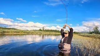 72 Stunden überleben in kompletter Wildnis! Wir müssen Fische fangen!