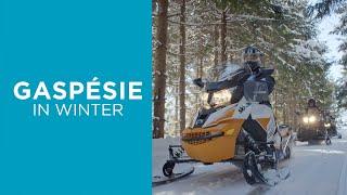 Snowmobiling in Gaspésie | Simply Extraordinary.