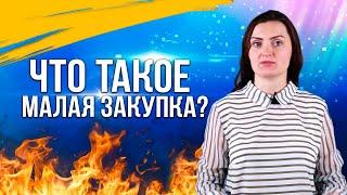 Что такое малая закупка?