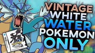 Can I Beat The Hardest DS ROM HACK With Only Water Types?! (Vintage White)