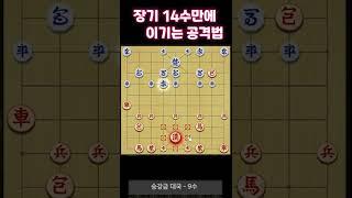 초보자가 쓰기 좋은 14수컷