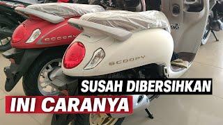 WARNA DOFF SCOOPY 2021 SUSAH DIBERSIHKAN | INI CARANYA