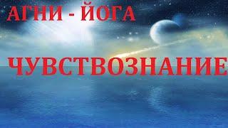 ЧУВСТВОЗНАНИЕ.   17.11.2021.